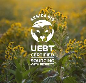 ARNICA UEBT